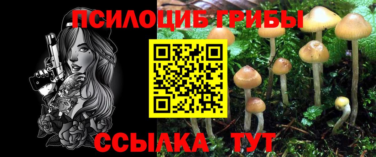 Галлюциногенные грибы Cubensis Кызыл
